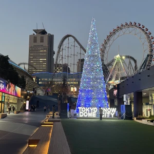 おはようございます🌞の写真1枚目