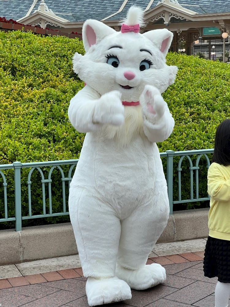 c9de9bc80b5c9ce1e914819e6770313484efd7ab.jpg