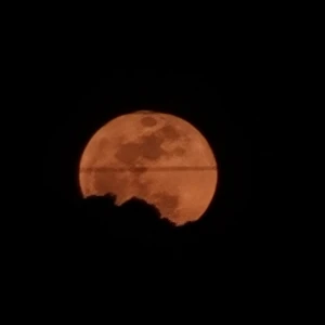 こんにちは～🍀の写真1枚目