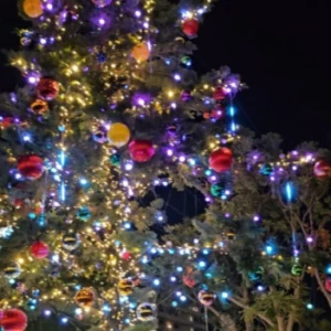 リカです。の写真1枚目