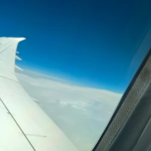 出勤しました！の写真1枚目
