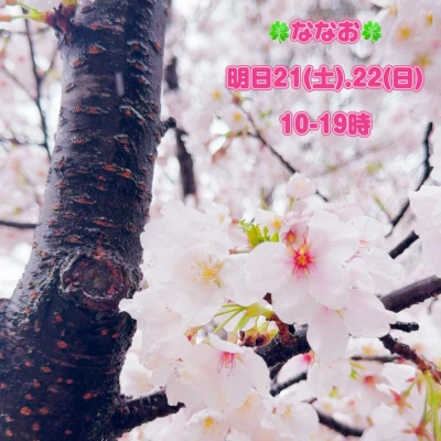 こんばんは⭐️ハッピーギャングななおです🍀