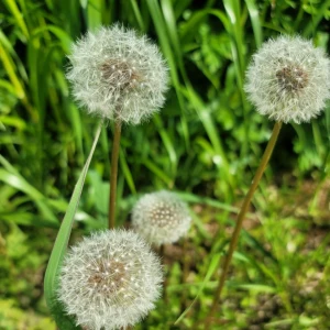 こんにちはー！の写真1枚目