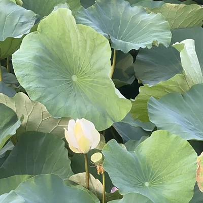 こんばんは🌟