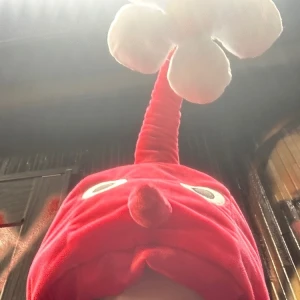 赤ピクミン🔥の写真1枚目