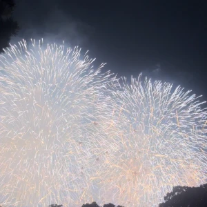 🌻夏の思い出🌻　〜part1〜の写真2枚目