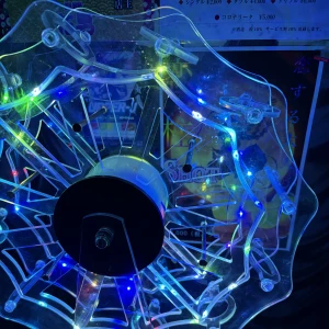 2025.8.25の写真2枚目