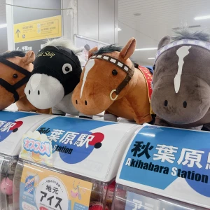 こんばんわ!!の写真1枚目