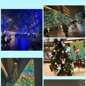 イルミネーション❤️の写真1枚目