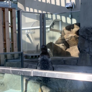 こんばんは、ぽちです🐾の写真1枚目