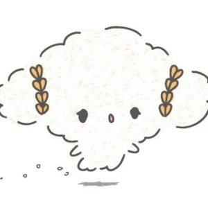 こんばんは~の写真1枚目