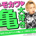 Rolfなぎさんのペットは亀！亡きおじいちゃんの形見