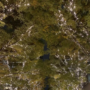 今年初✨.ﾟ･*..☆イルミ♩✨.ﾟ･*..☆.｡の写真1枚目