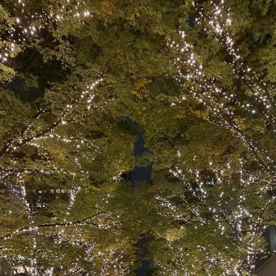 今年初✨.ﾟ･*..☆イルミ♩✨.ﾟ･*..☆.｡