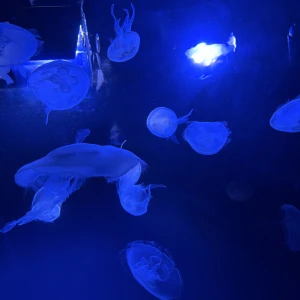 こんばんは〜！まゆです🫶🏻🩵の写真1枚目