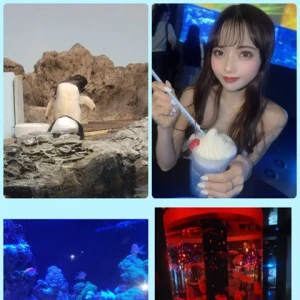 水族館❤️の写真3枚目