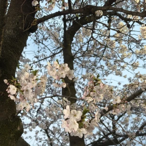 お疲れさまです☀️🌺の写真2枚目