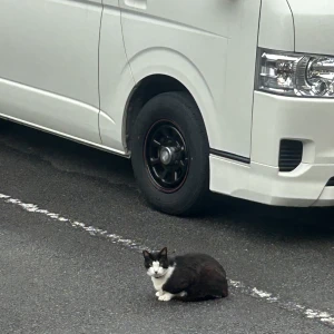 こんばんは🌛の写真1枚目