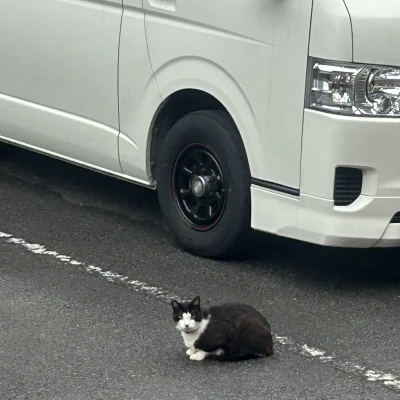 こんばんは🌛