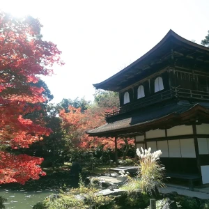 京都🍂🍁の写真1枚目