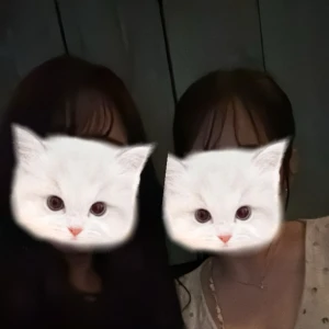 こんばんは🌙の写真1枚目