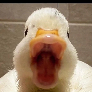 出勤しました^^の写真1枚目