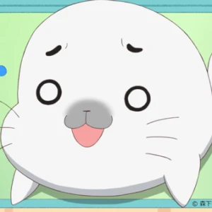 こんばんは~の写真1枚目