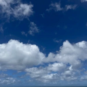 📸✨の写真1枚目