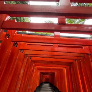 0523の写真1枚目