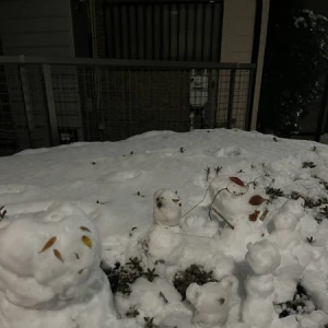 <p>こんばんはるなです❣️<br>今日は一段と寒い🥶🥶<br>結構雪降りましたね☃️<br>出勤前に可愛い光景があったので<br>写真撮りました！！<br>メガネ本物笑笑<...の写真1枚目