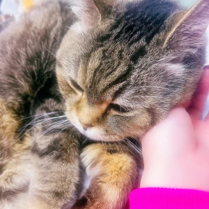 金曜日までお休み💤の写真1枚目