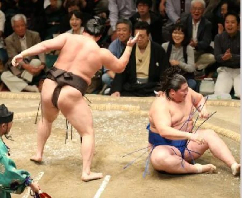 ＜大相撲秋場所＞白鵬が３１回目の優勝、千代の富士に並ぶ