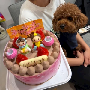 こんばんは～😊の写真1枚目