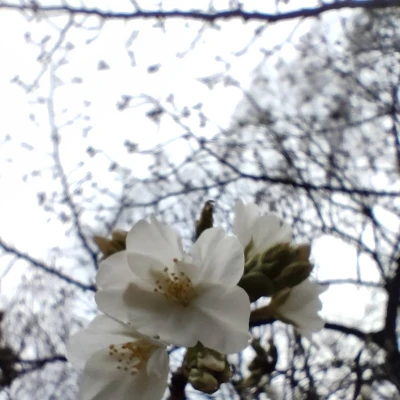 こんばんは❣️