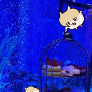 🐱ྀི5.26🐱ྀིの写真1枚目