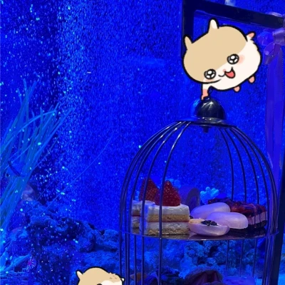 🐱ྀི5.26🐱ྀི