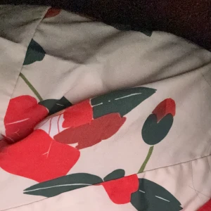 かなちゃん本日21:30から出勤しております𐔌՞ ܸ. .ܸ՞𐦯の写真1枚目