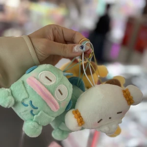 こんにちわん🐶みゆです❄️の写真1枚目