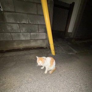 こんばんは🌙みゆうです！！！の写真1枚目
