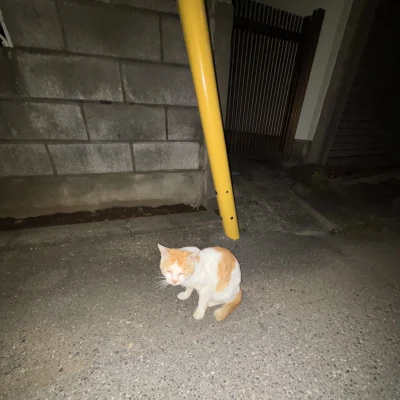 こんばんは🌙みゆうです！！！