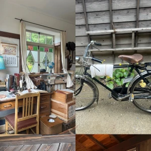 11.14の写真2枚目