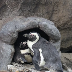 こんばんは！㌨です！の写真1枚目