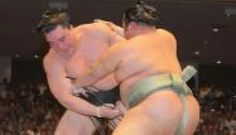 【夏場所】日馬、２敗で１０個目の金星配給