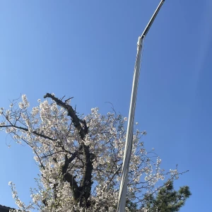 こんばんは🥂💫の写真1枚目