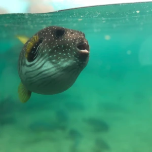 おはようございます‪⸜(*ˊᵕˋ*)⸝‬の写真2枚目