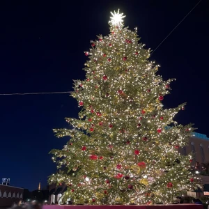 21時半から🌙の写真1枚目