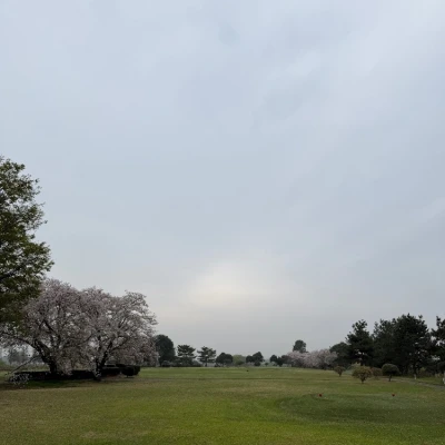 久々にコンペ！