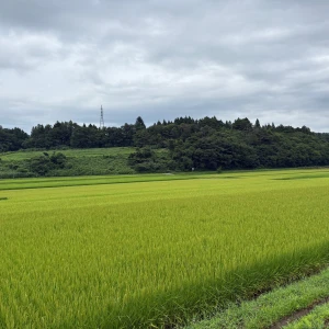 こんばんは！さらんです⋆⸜🌷⸝‍⋆の写真1枚目