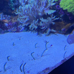 また今週が始まった！！の写真1枚目