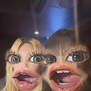 🐱の写真1枚目